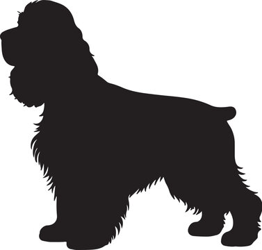 English Cocker Spaniel dog vector silhouette on white background