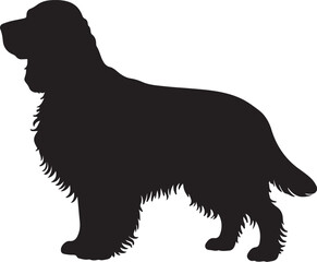 English Springer Spaniel dog vector silhouette on white background