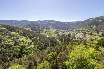 Château de Wangenbourg