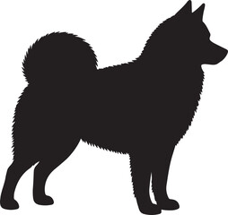 Finnish Spitz dog vector silhouette on white background