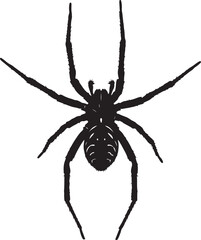Fishing Spider top view vector silhouette on white background