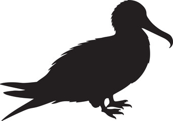 Frigatebird vector silhouette on white background