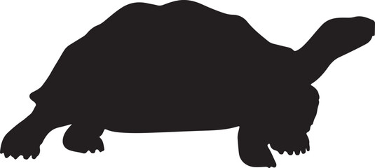 Galápagos Tortoise side view vector silhouette on white background
