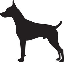 German Pinscher dog vector silhouette on white background