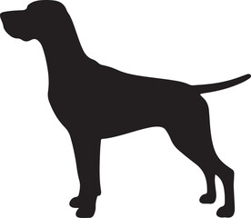 German Shorthaired Pointer dog vector silhouette on white background