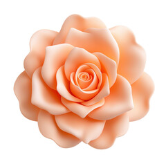 the image shows a flower on a black background. the flower is light orange. the petals are layered, creating a rounded form. the center of the flower is a tight spiral