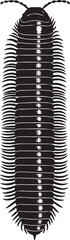 Giant Millipede top view vector silhouette on white background