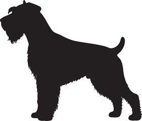 Giant Schnauzer dog vector silhouette on white background