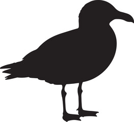 Glaucous Gull bird vector silhouette on white background
