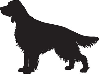 Gordon Setter dog vector silhouette on white background