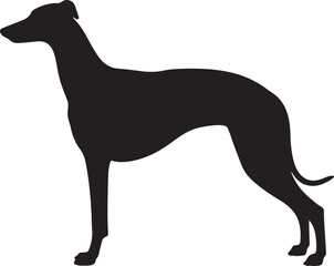 Greyhound Dog Vector Silhouette on White Background