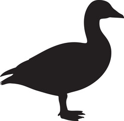 Greylag Goose Vector Silhouette on White Background