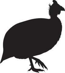 Guineafowl Vector Silhouette on White Background
