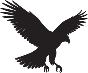 Hawk Bird Vector Silhouette on White Background