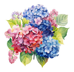 Fototapeta premium PNG Hydrangea bouquet watercolor hydrangea painting.