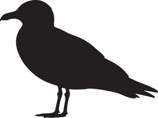 Iceland Gull Bird Vector Silhouette on White Background