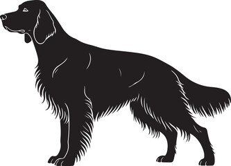 Irish Setter Dog Vector Silhouette on White Background