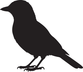Jay Bird Side View Silhouette Vector