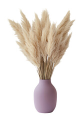 PNG Dried pampas grass vase decoration reed.