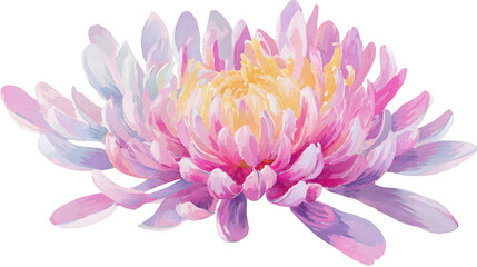 Obraz premium Watercolor flower, pastel-colored chrysanthemum with pink and yellow petals on a white background, png, transparent
