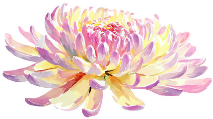 Obraz premium Watercolor flower, pastel-colored chrysanthemum with pink and yellow petals on a white background, png, transparent