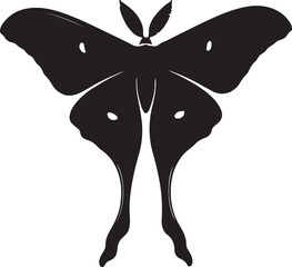 Luna Moth Top View Silhouette Vector