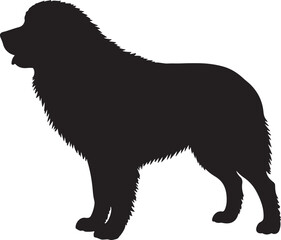 Obraz premium Maremma Sheepdog vector silhouette on white background