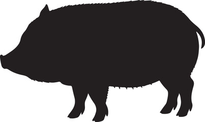 Miniature Pig vector silhouette on white background