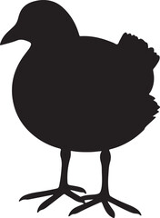 MOORHEN SILHOUETTE