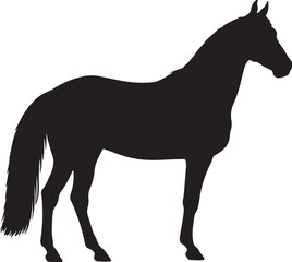 MORGAN HORSE SILHOUETTE