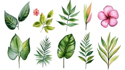 Watercolor illustration depicts various tropical leaves and a pink hibiscus flower on a white background.