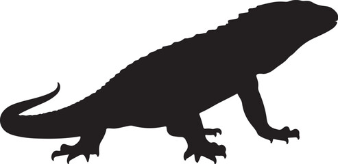 NORTHERN CAIMAN LIZARD SILHOUETTE