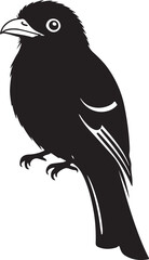 Orange-breasted Trogon Side View Silhouette Vector