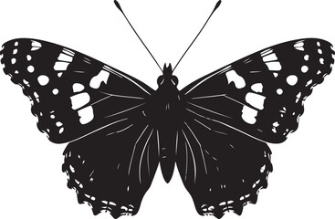 Painted Lady Butterfly Top View Silhouette Vector