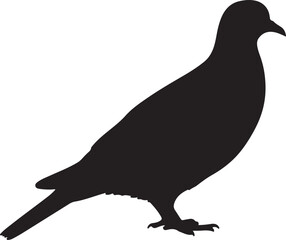 Passenger Pigeon Side View Silhouette Vector