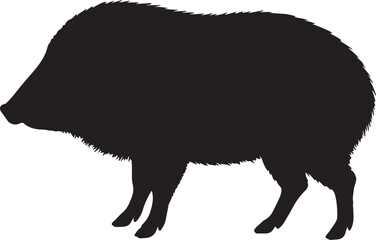 Peccary Side View Silhouette Vector