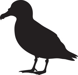 Petrel Bird Side View Silhouette Vector