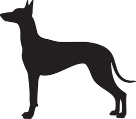 Pharaoh Hound Dog Silhouette Vector