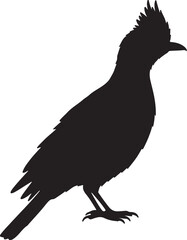 Phainopepla Bird Side View Silhouette Vector