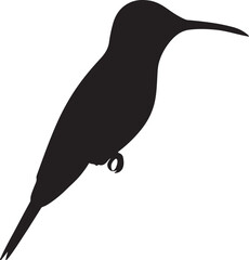 Purple-crowned Fairy Silhouette Vector