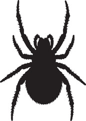 Purse-web Spider Silhouette Vector