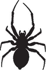 Red Widow Spider Top View Silhouette Vector