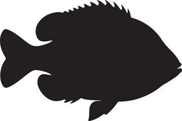 Redear Sunfish Silhouette Vector