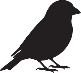 Redpoll Silhouette Vector