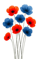 Minimalist Watercolor Poppy Bouquet in Red and Indigo on Transparent