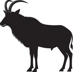 Roan Antelope Side View Silhouette Vector © Qasim Farooq