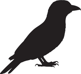 Roller Bird Silhouette Vector