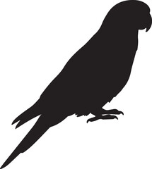 Rosella Silhouette Vector