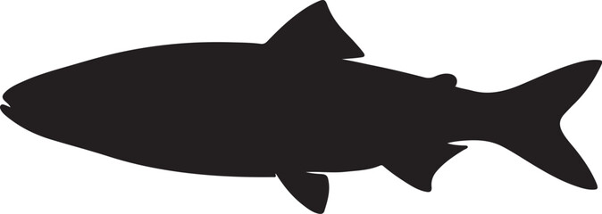 Rudd Silhouette Vector