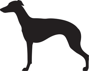 silhouette of a dog
